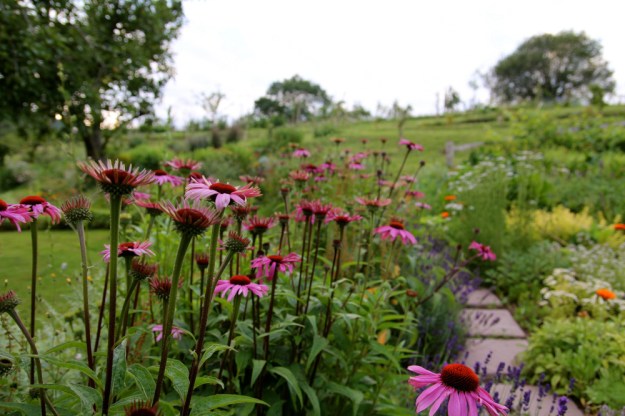 Biodynamic%20Gardening%20(12)